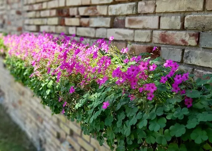 Κατάλυμα σε φάρμα Tenuta Santa Maria *