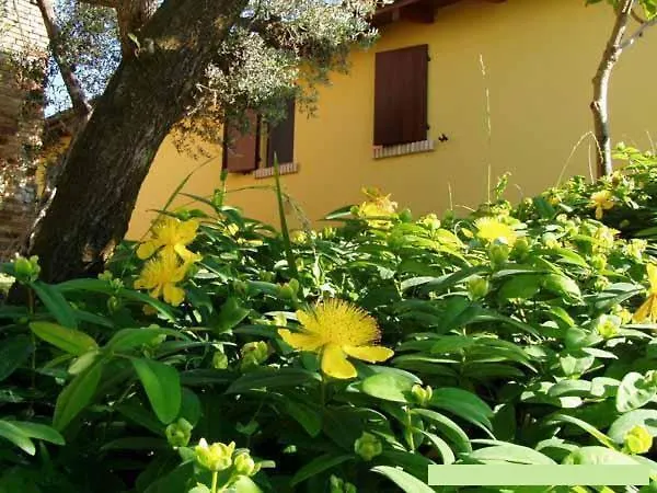 Κατάλυμα σε φάρμα Tenuta Santa Maria *