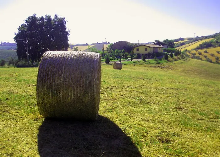 Tenuta Santa Maria * Notaresco